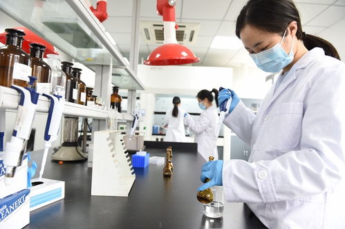 科技管家服务能手 资阳生产力促进中心如何以信息技术咨询助力政企发展